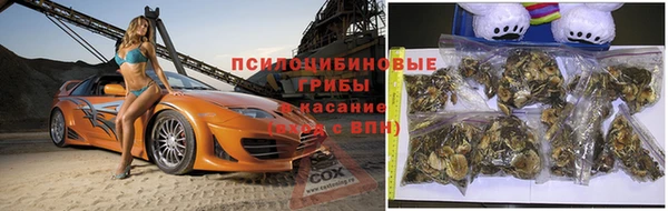 каннабис Абаза
