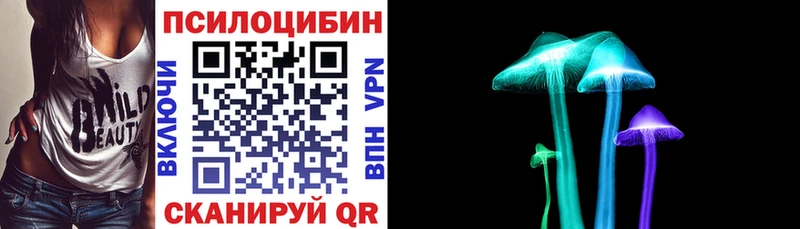 Псилоцибиновые грибы мицелий  Правдинск 